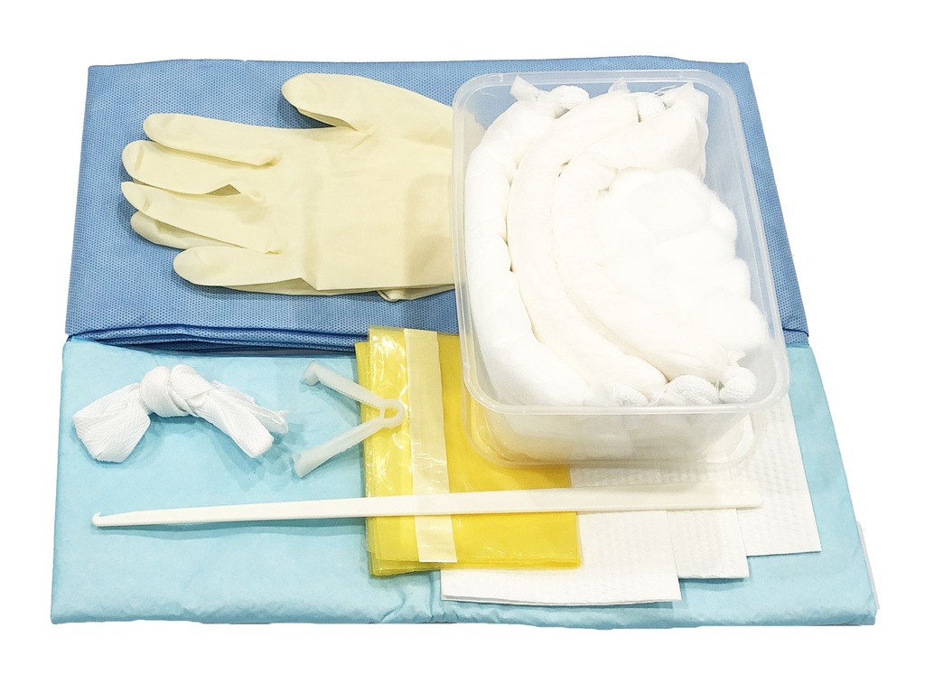 Disposable Delivery Set